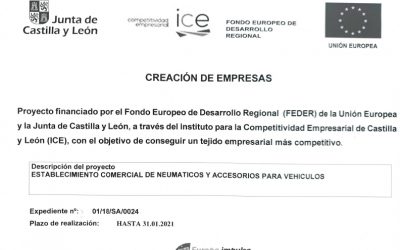 Ayuda creación de empresas
